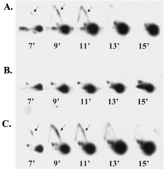 FIG. 4