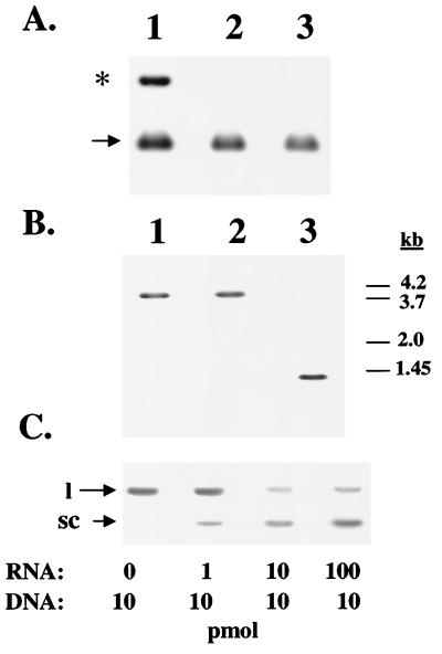 FIG. 6