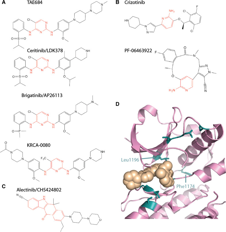 Fig. 4