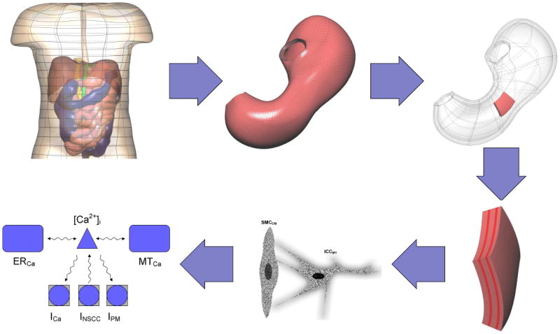 FIGURE 1