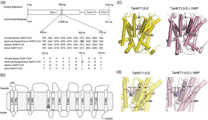 FIGURE 3