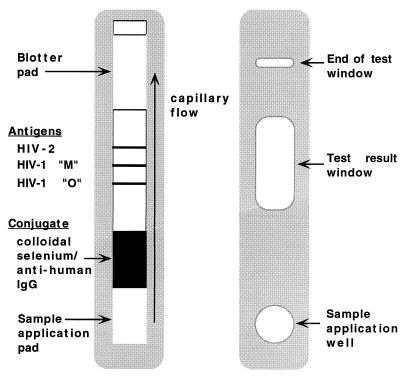 FIG. 1