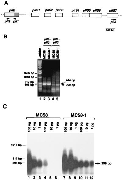 FIG. 6.