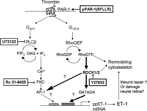 FIG. 7.