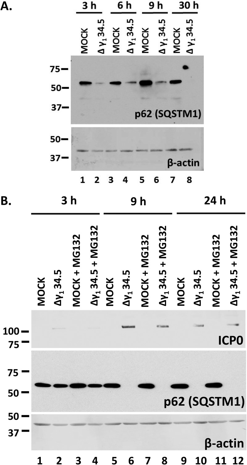 FIG 6