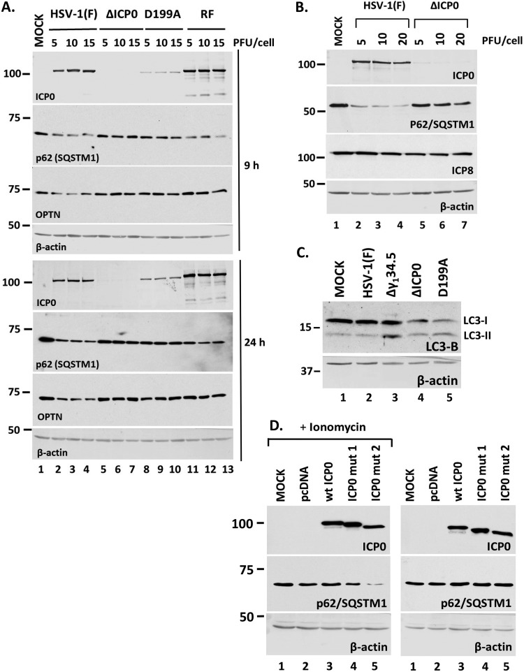 FIG 4