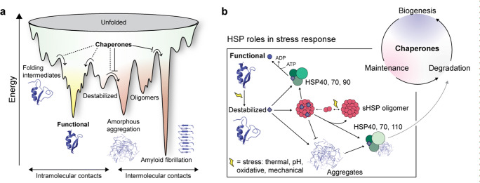 Fig. 1