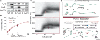 Fig. 3