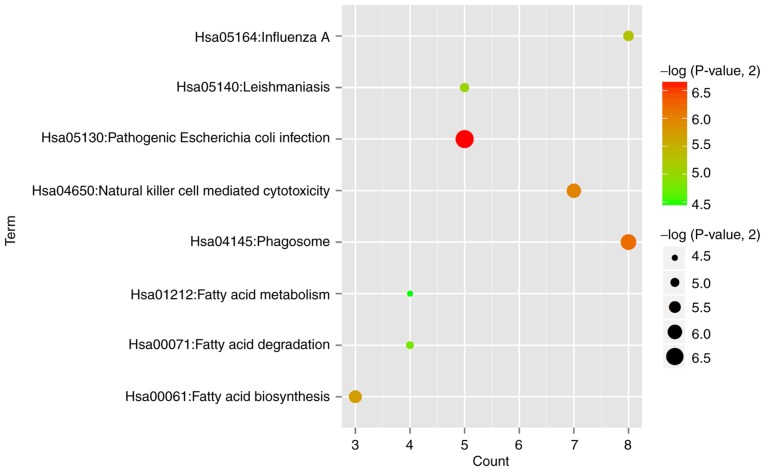 Figure 2.