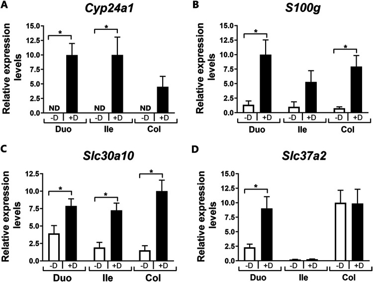 FIG 3