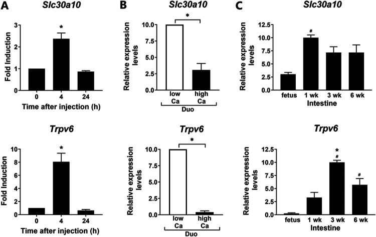 FIG 4