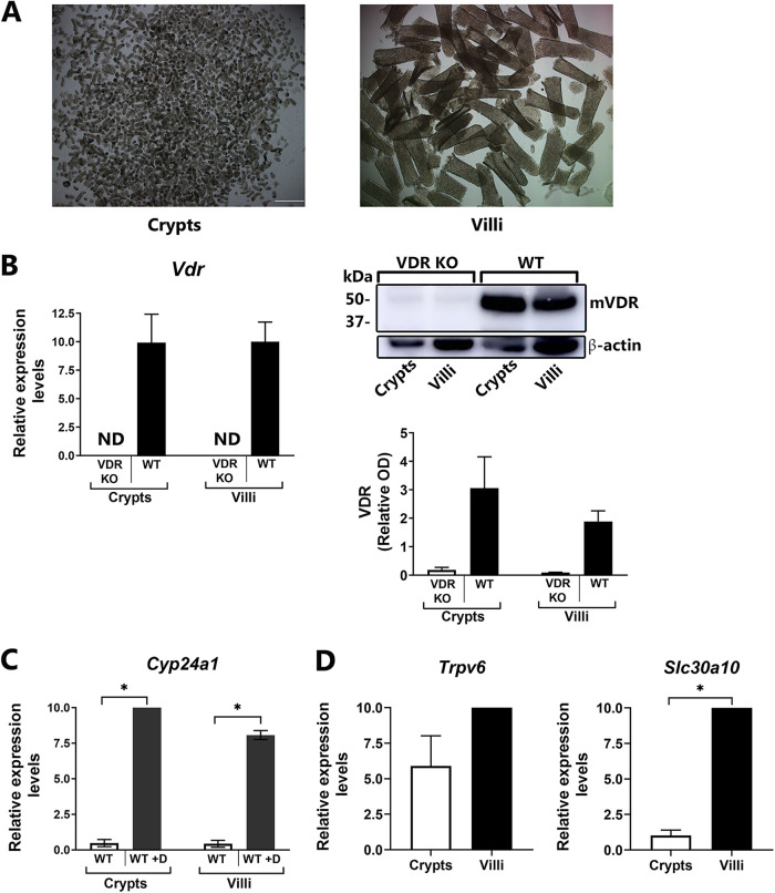 FIG 6