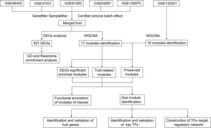 Figure 1