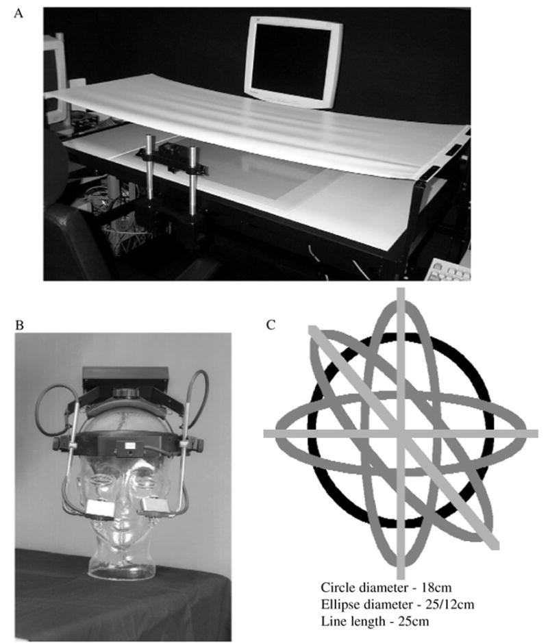 FIGURE 1