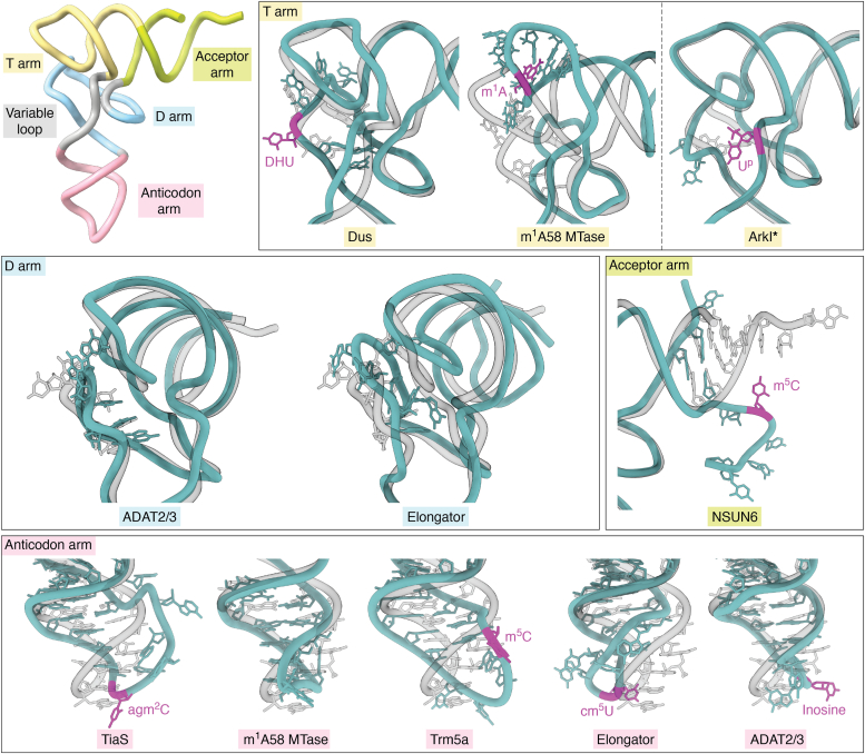 Figure 4