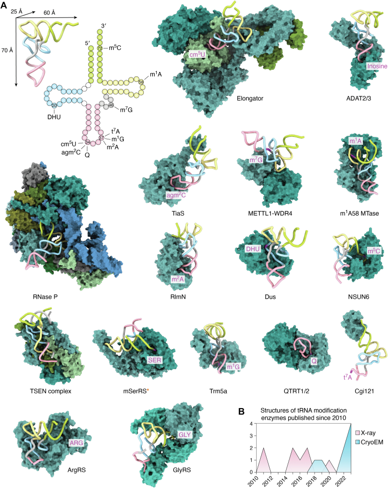 Figure 3