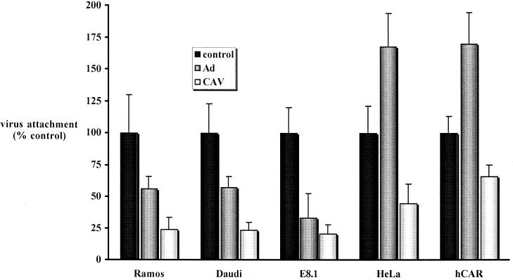 FIG. 6