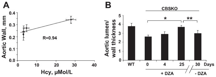 Fig. 8