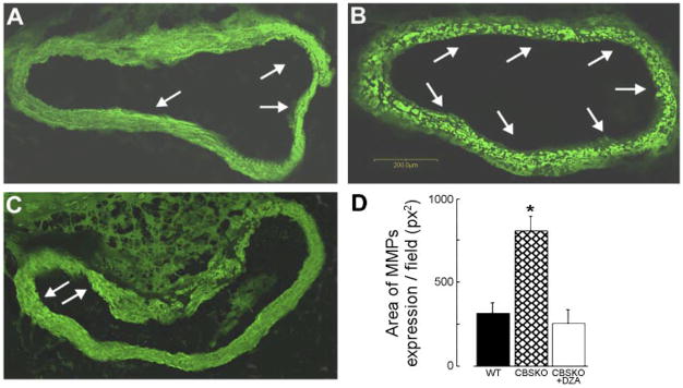 Fig. 6