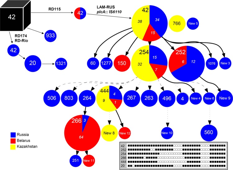 FIG 1