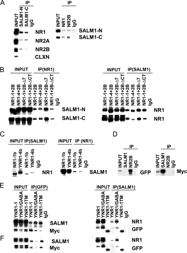 Figure 7.