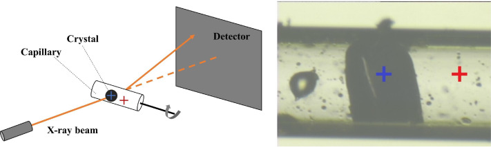 FIG. 1.