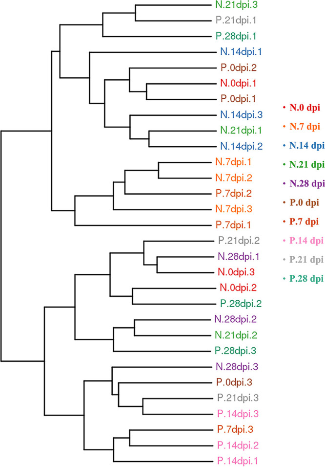 FIG 3