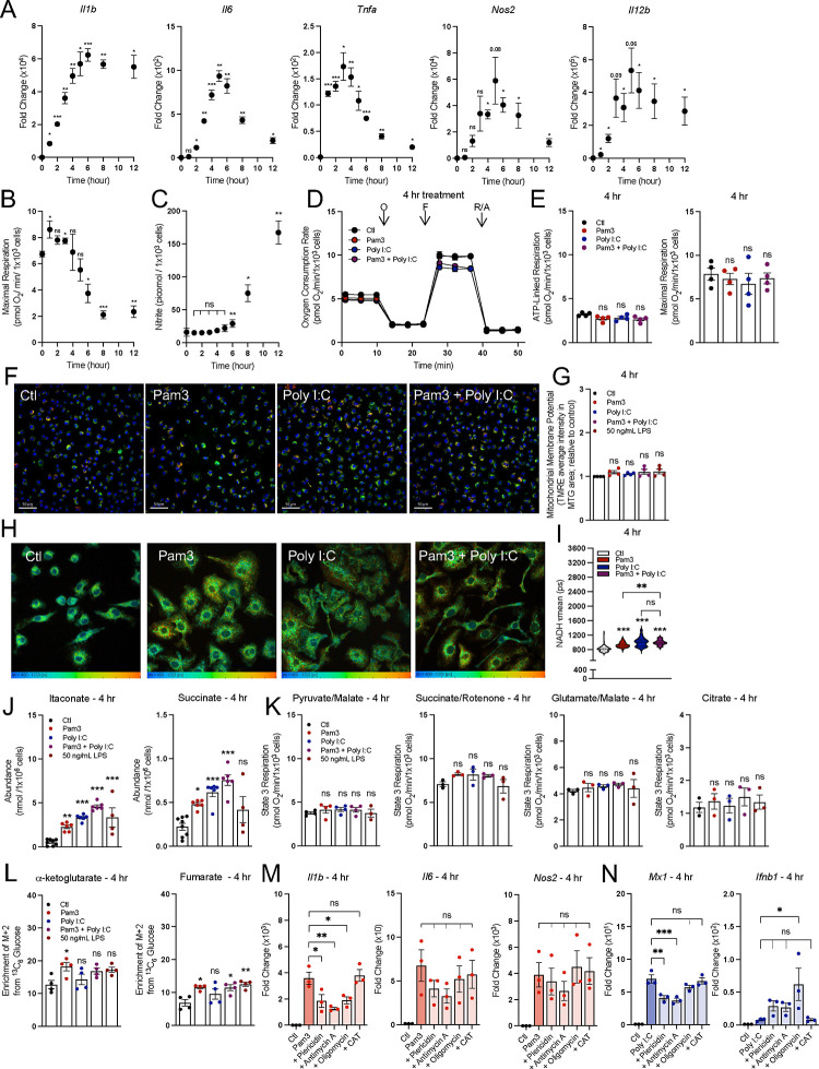 Figure 6: