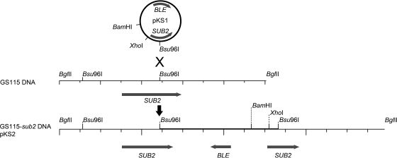 FIG. 2.