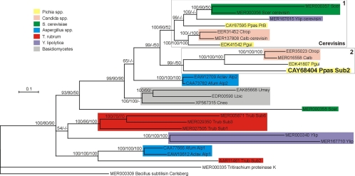 FIG. 7.