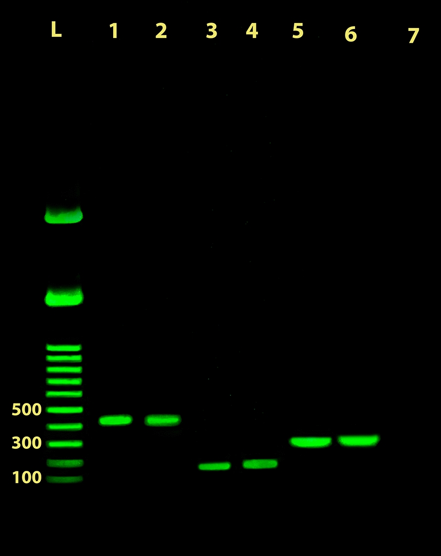 Fig. 4