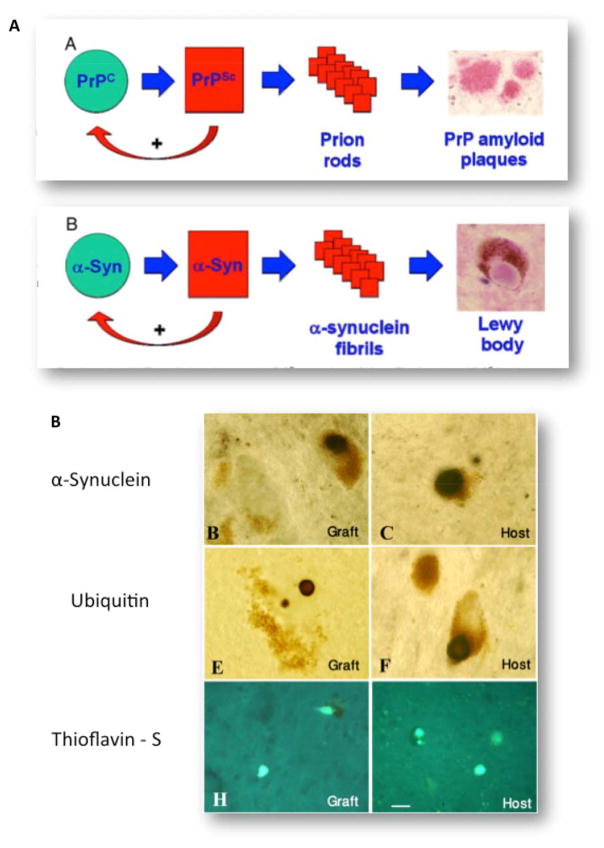 FIG. 8