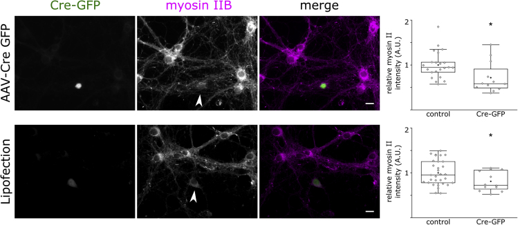 Figure 10