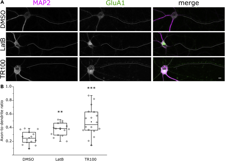 Figure 6