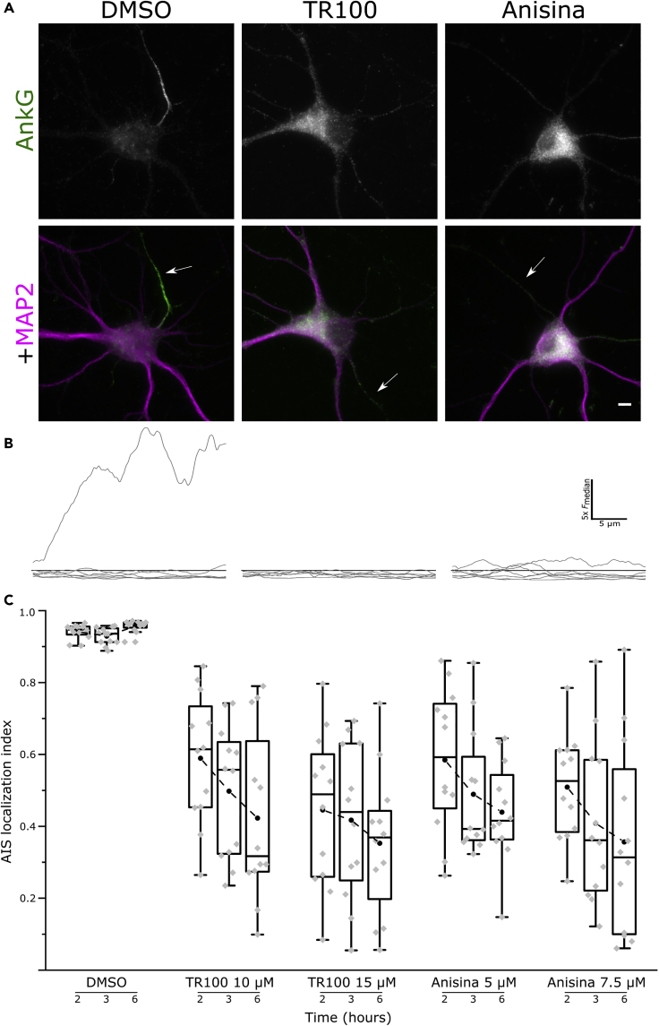 Figure 4