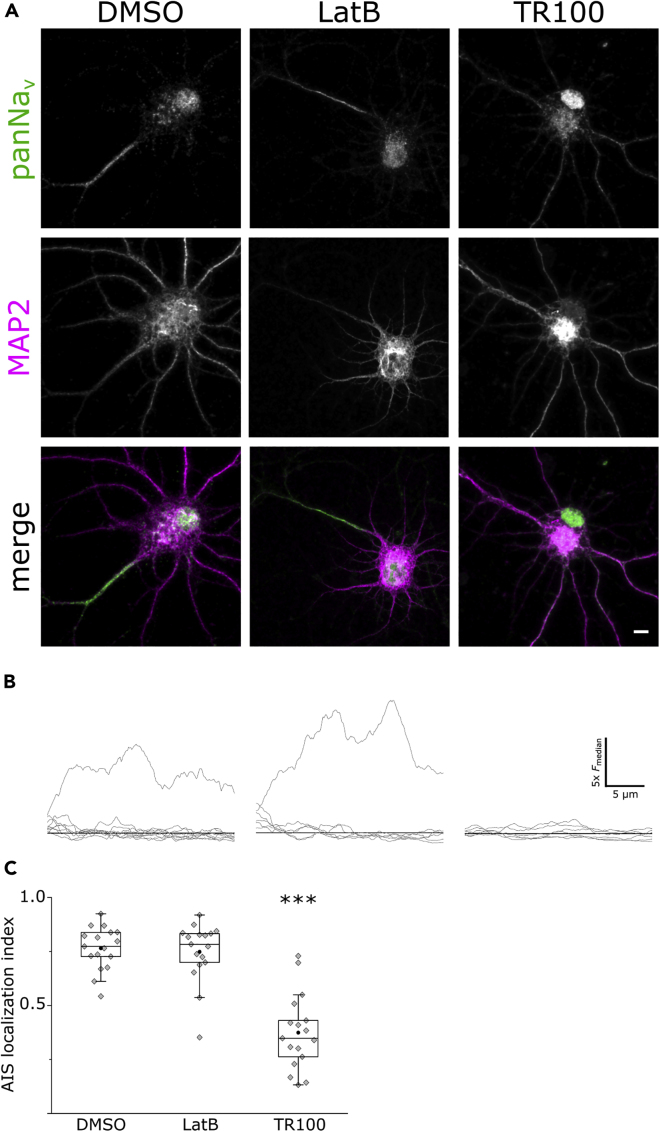 Figure 7