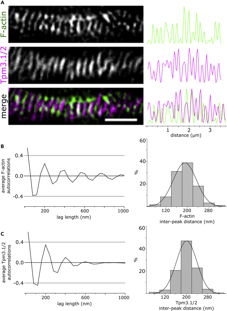 Figure 3