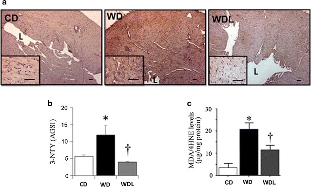 Fig. 4