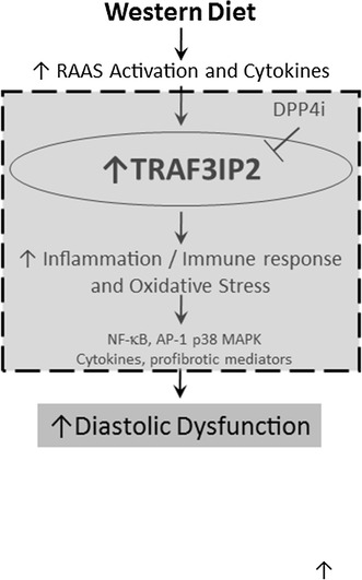 Fig. 10