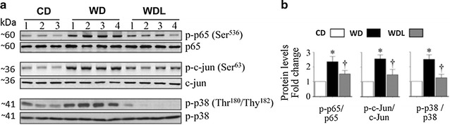 Fig. 6