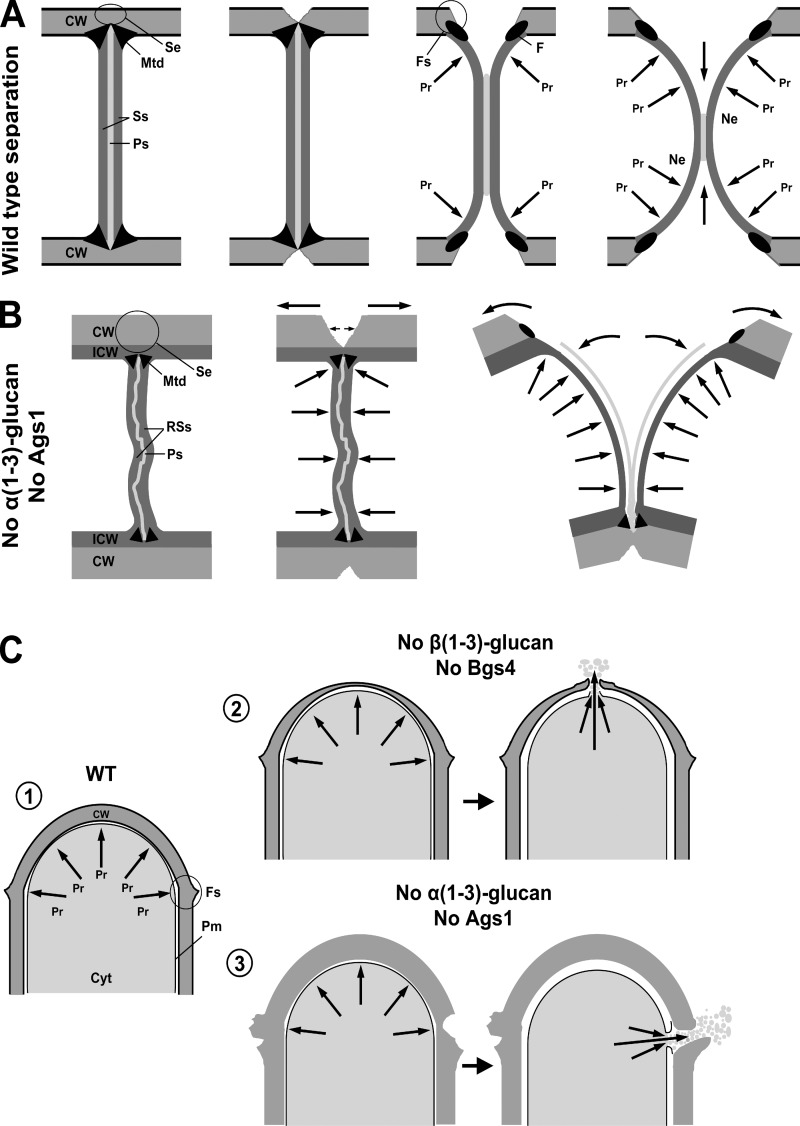 Figure 10.