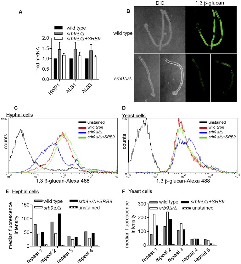 FIG 6 