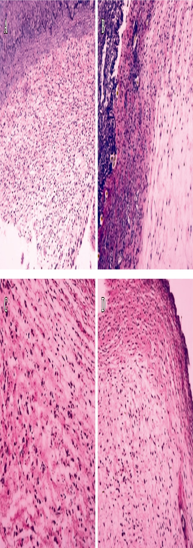 Fig. 7.