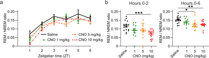 Figure 1—figure supplement 1.