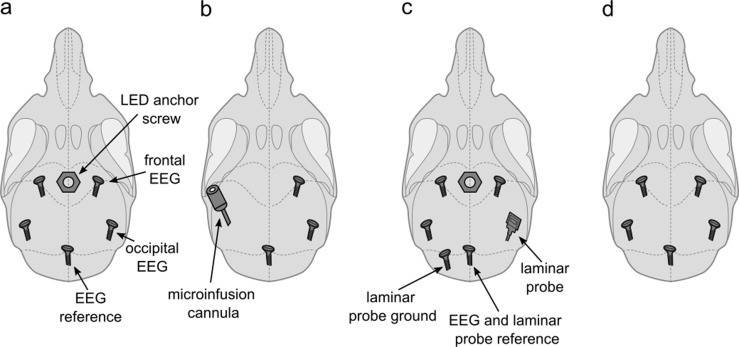 Figure 6.