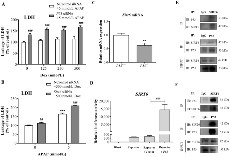 Figure 6