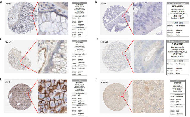 Figure 13