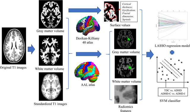 graphic file with name nihms-1746593-f0007.jpg