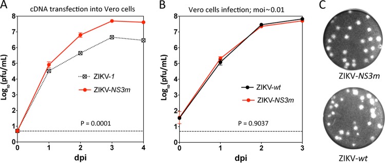 FIG 3 