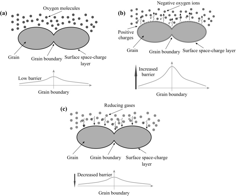 Fig. 13